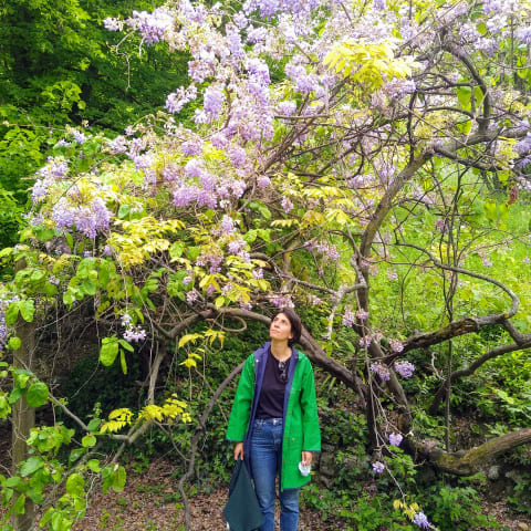 Profile photo of Caterina M.