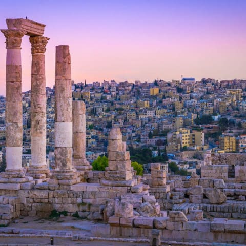 Profile photo of AYSHEH   .