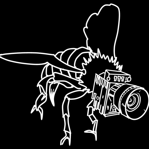 Profile photo of Jaron D.