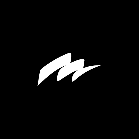 Profile photo of MIRRORS ..