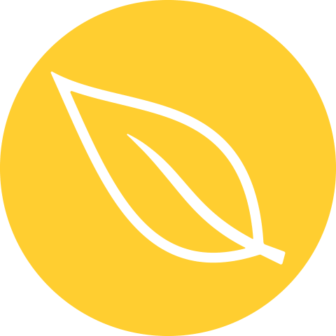Profile photo of Creation S.