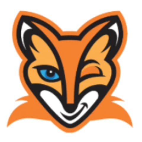 Profile photo of Digital Fox Talent J.