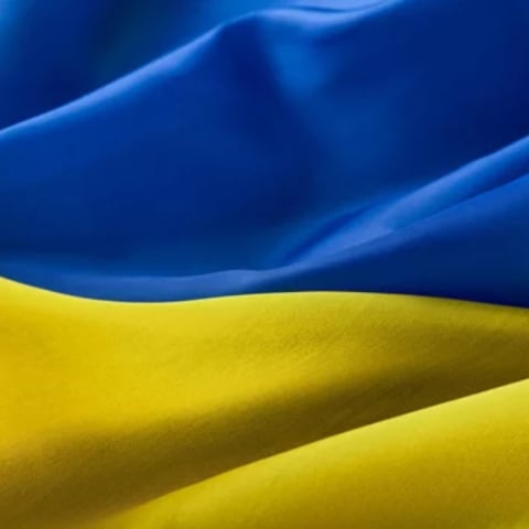 Profile photo of Stephen B.