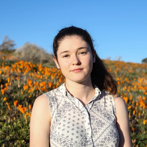 Profile photo of Diana K.