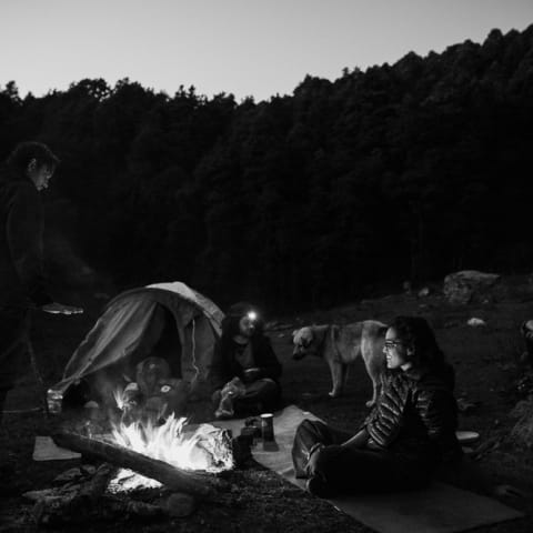 Profile photo of Chaitali M.