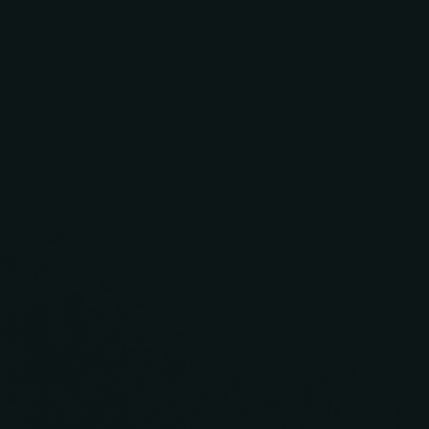 Profile photo of Montana F.