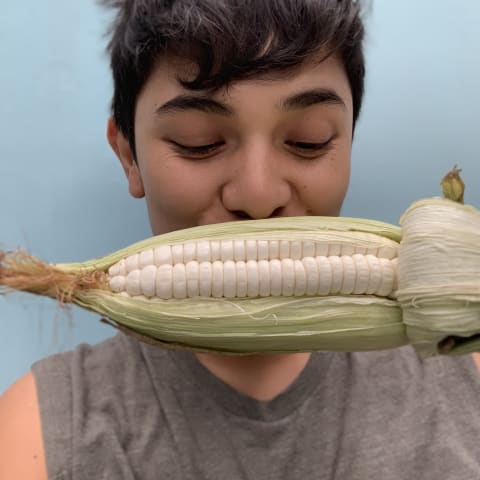 Profile photo of Urpillay I.