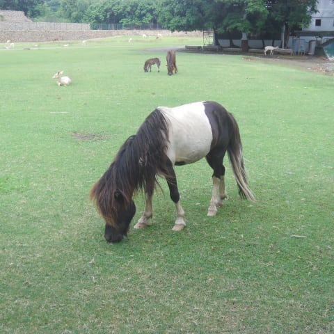 Profile photo of Marchello M.