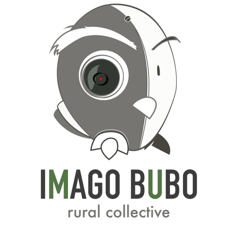 Profile photo of David G.