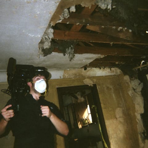 Profile photo of Joseph D.