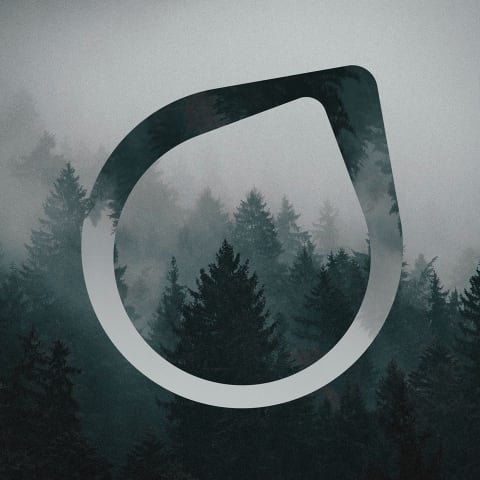 Profile photo of Story F.