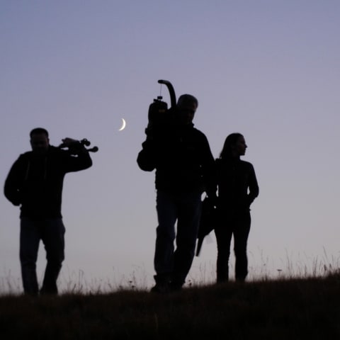 Profile photo of Square P.