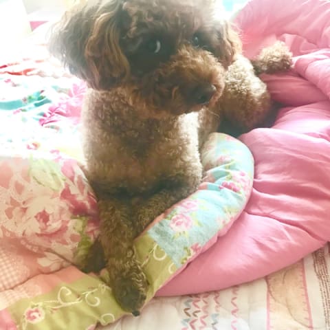 Profile photo of Doohyun S.