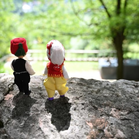 Profile photo of Admir D.