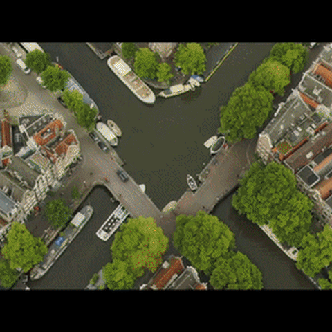 Profile photo of Fonk F.