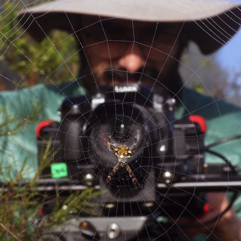 Profile photo of Guillermo K.