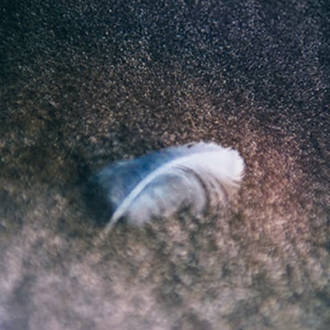 Profile photo of Jared W.