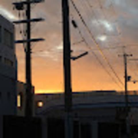 Profile photo of Erika M.