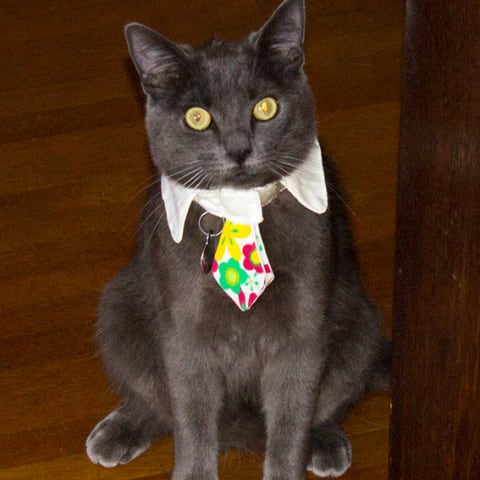 Profile photo of Colin F.