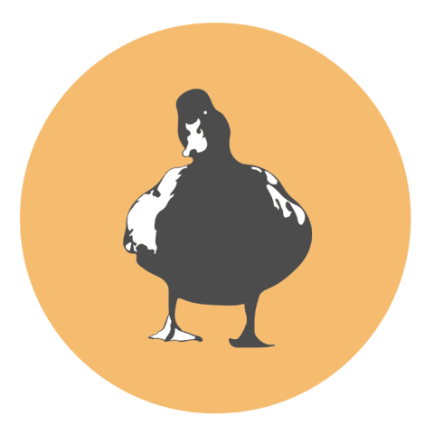 Profile photo of Leigh Ann B.