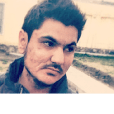 Profile photo of Ali L.