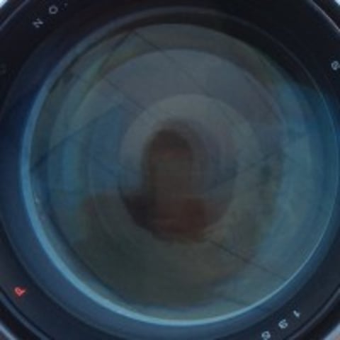 Profile photo of Ed D.