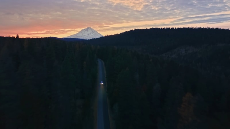 Swimming W. - Portland, OR, USA - Glimmer.io