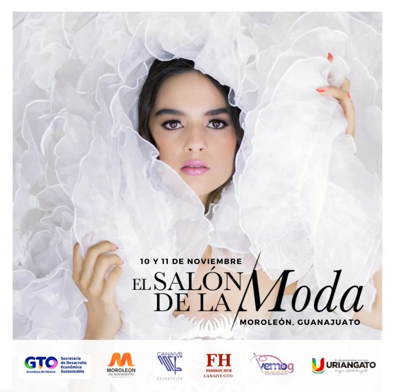 Model image