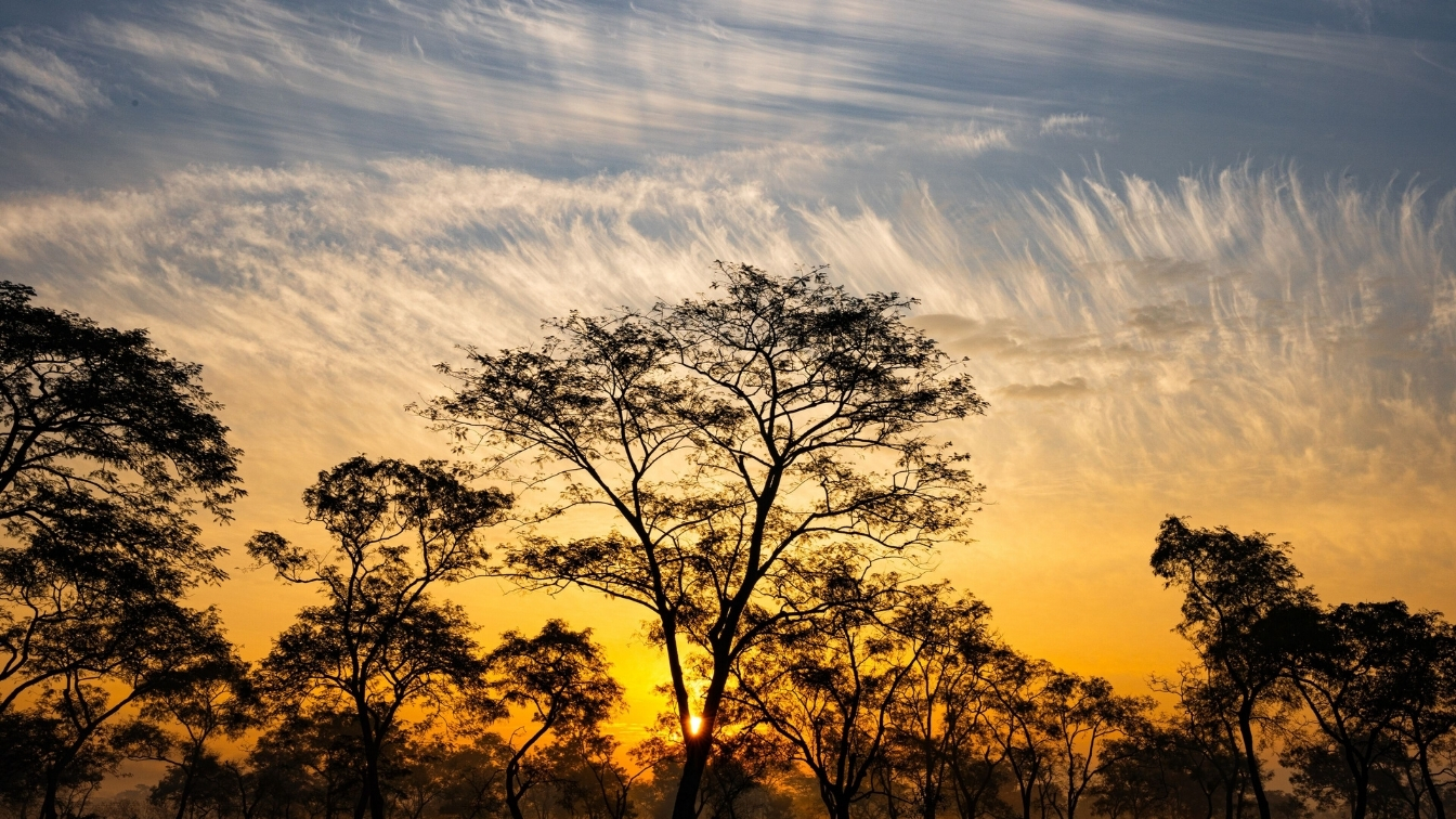 Jorhat skyline