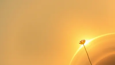 Lý do biển báo cảnh báo ở nước ngoài và bài học cho người Việt
