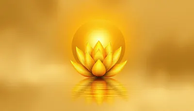 Làm Giàu Bằng Hai Bàn Tay Trắng - Bí Quyết Thực Hành Mỗi Ngày