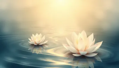 Sau khi Vô Thường: Sự Thật về Cái Chết và Vượt Thoát Luân Hồi