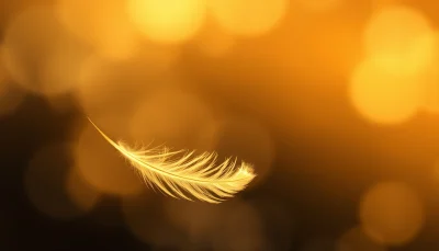 Con Đường Chấm Dứt Khổ Đau Luân Hồi, Hướng Đến Niết Bàn