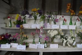Image of Coleraine Show 