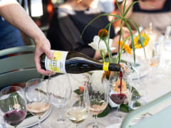 Image of SummerVines Festival 2026