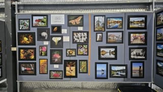 Image of Stanthorpe Agricultural Show