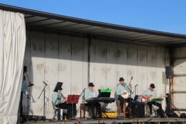 Image of Coleraine Show 