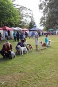 Image of Daylesford Show