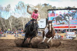 Image of The Man From Snowy River Festival, Corryong