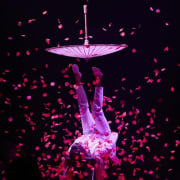 Image of Adelaide Cabaret Festival