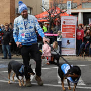 Image of Annual Australian Kelpie Muster 
