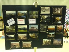 Image of Killarney Show