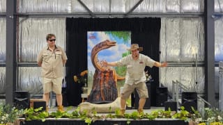 Image of Stanthorpe Agricultural Show
