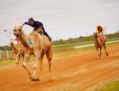 Image of Boulia Camel Races