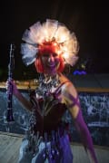 Image of Woodford Folk Festival