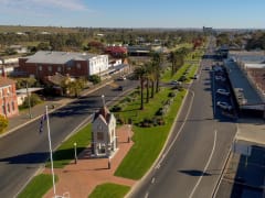 Image of Junee Canola Gateway Festival