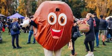 Image of Kalorama Chestnut Festival 