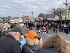 Image of Annual Australian Kelpie Muster 