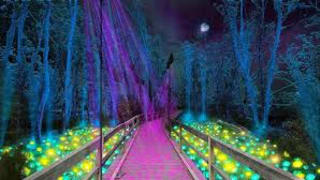 Image of Moama Lights