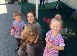 Image of Wangaratta Show